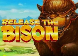 Рельсы слота Release the Bison